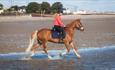 Isle of Wight, Things to Do, Beach Riding, Island Riding Centre, Pony Trekking