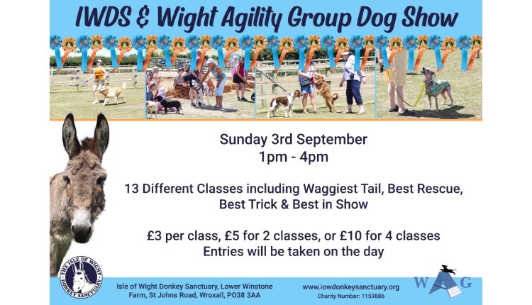 Isle of Wight, Things to do, Events, Isle of Wight Donkey Sanctuary Family Fun Dog Show, Wroxall