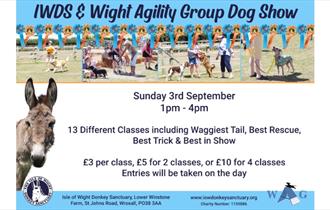 Isle of Wight, Things to do, Events, Isle of Wight Donkey Sanctuary Family Fun Dog Show, Wroxall