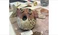 Isle of Wight, Things to do, Isle of Wight Pottery, Niton, pottery Puffer Fish decorated and on display