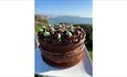 Isle of Wight, Eating Out, Blueberrys Cafe, Mint Chocolate topped cake