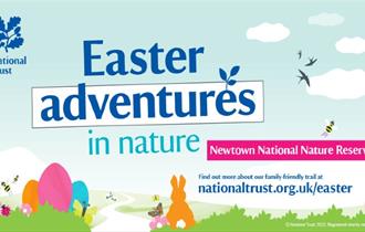 Isle of Wight, things to do, Easter Fun, Newtown, National Trust, Family Fun