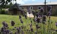 Outside view of Godshill Park Barn, self catering, Isle of Wight