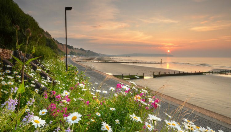 Sunrise at Sandown