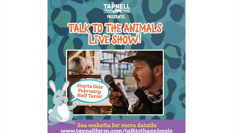 Isle of Wight, Things to Do, February Half Term, Tapnell Farm, Yarmouth
