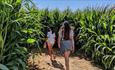 Children entering the Maize Maze at Tapnell Farm, Things to do, Isle of Wight
