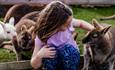 Girl petting a wallaby at Tapnell Farm Park, Things to Do, Isle of Wight