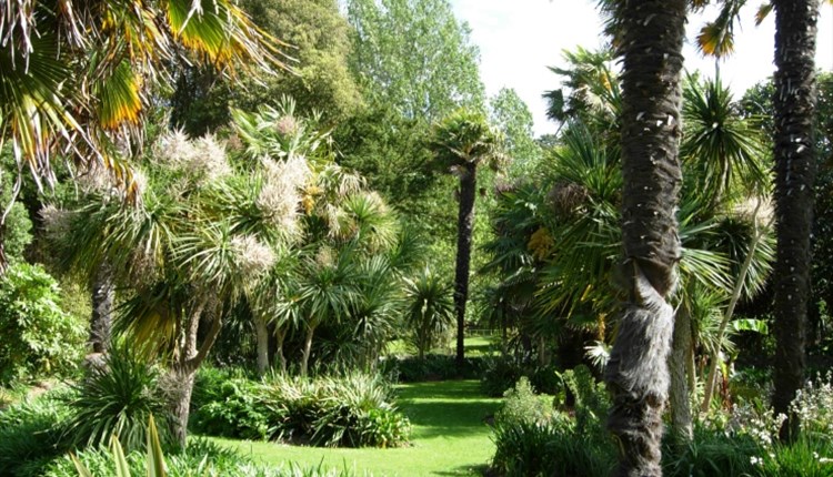 Isle of Wight, Things to do, Events, Wellbeing, Ventnor Botanics, Maytime Soundbath, Therapy, Image of gardens a palm trees