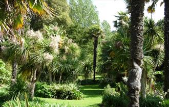 Isle of Wight, Things to do, Events, Wellbeing, Ventnor Botanics, Maytime Soundbath, Therapy, Image of gardens a palm trees