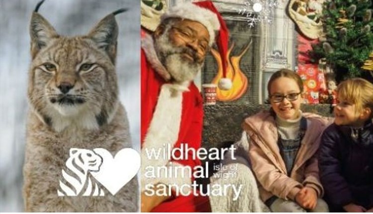 Isle of Wight, Things to do, Christmas Events, Christmas Markets, Wildheart Animal Trust, Sandown