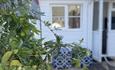 Isle of Wight, Accommodation, York Cottage, COWES, Self Catering, Outside