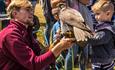 Child holding bird at the Royal Isle of Wight County Show - What's On, Isle of Wight
