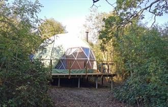 Isle of Wight, Camp Wight, Accommodation, Glamping Dome in woodland setting