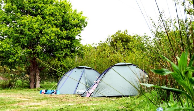 Isle of Wight, Accommodation, Camping, Corve Camp, Chale, 2 tents