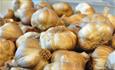 Garlic at The Garlic Farm Shop, Isle of Wight, farm shop, local produce, let's buy local