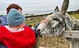 Mum holding toddler petting donkey over the fence at at Isle of Wight Donkey Sanctuary, animal attraction, what's on, event