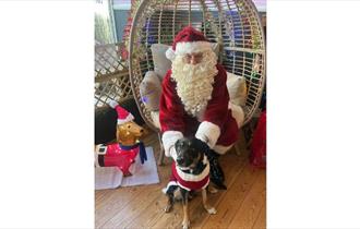 Santa with a dog at The Lime Tree, cafe, Shanklin, Christmas event, Isle of Wight