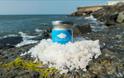 Wight salt on the sea rocks at Ventnor, local producers, Isle of Wight, local produce, let's buy local