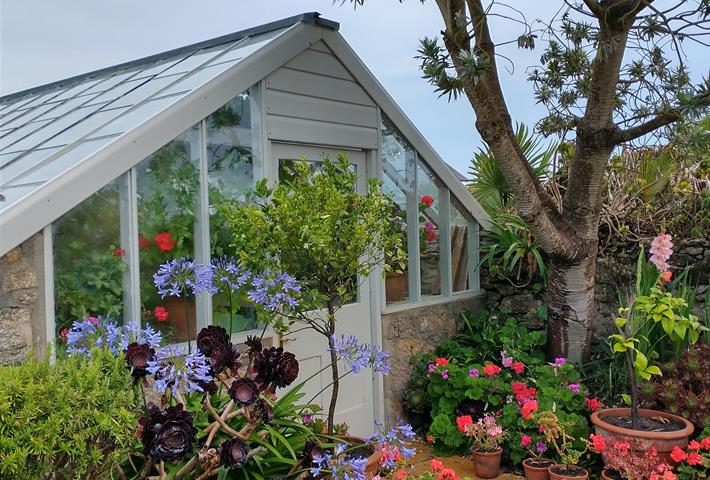 Image showing the entrance to the glasshouse at Polreath.
