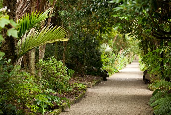 Tresco - Visit Isles of Scilly