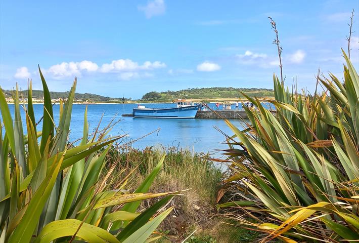 St. Mary's Boatmen's Association Trips & Tours