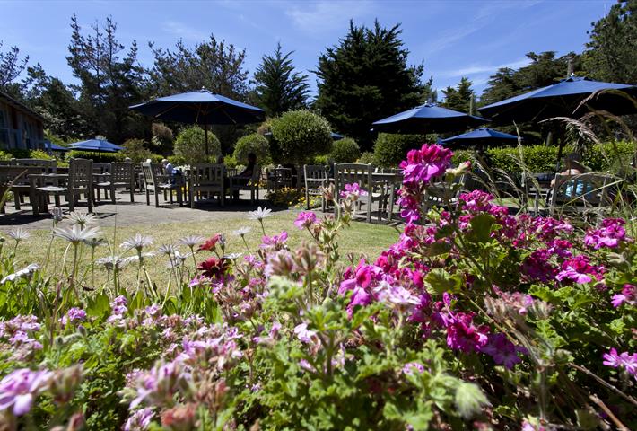 Tresco Abbey Garden Café & Shop