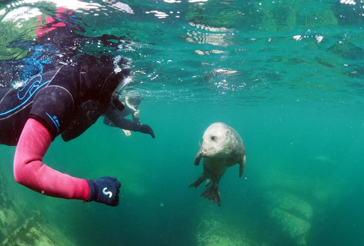 Explore Nature - Visit Isles of Scilly