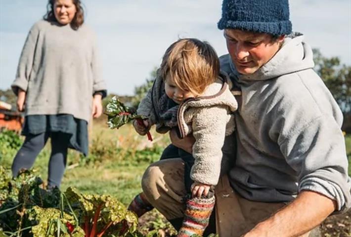Family checking produce in the field