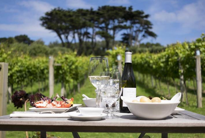 Wine and nibbles in the vineyard