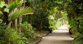 Shaded glades in Tresco Abbey Garden