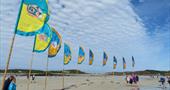 Low tide flags