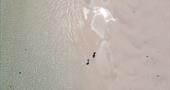 Aerial view walking on beach Tresco