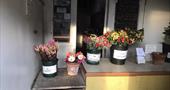 Flowers in farm shop