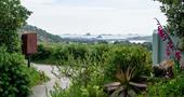 View from the shop