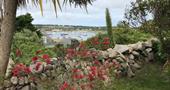 Garden view of harbour