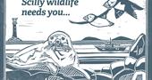 Wildlife trust sea postcard