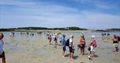 Low tide walk