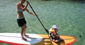Couple stand up paddleboarding