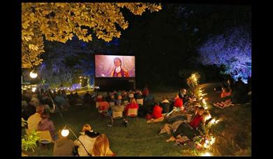 Island Cinema
