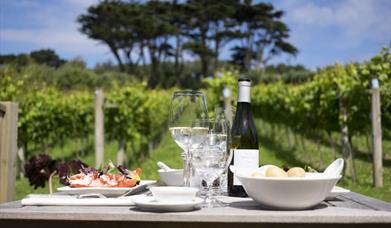 Wine and nibbles in the vineyard