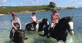 Horse riding in the sea