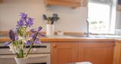 Bluebells on a dining table in a wooden kitchen