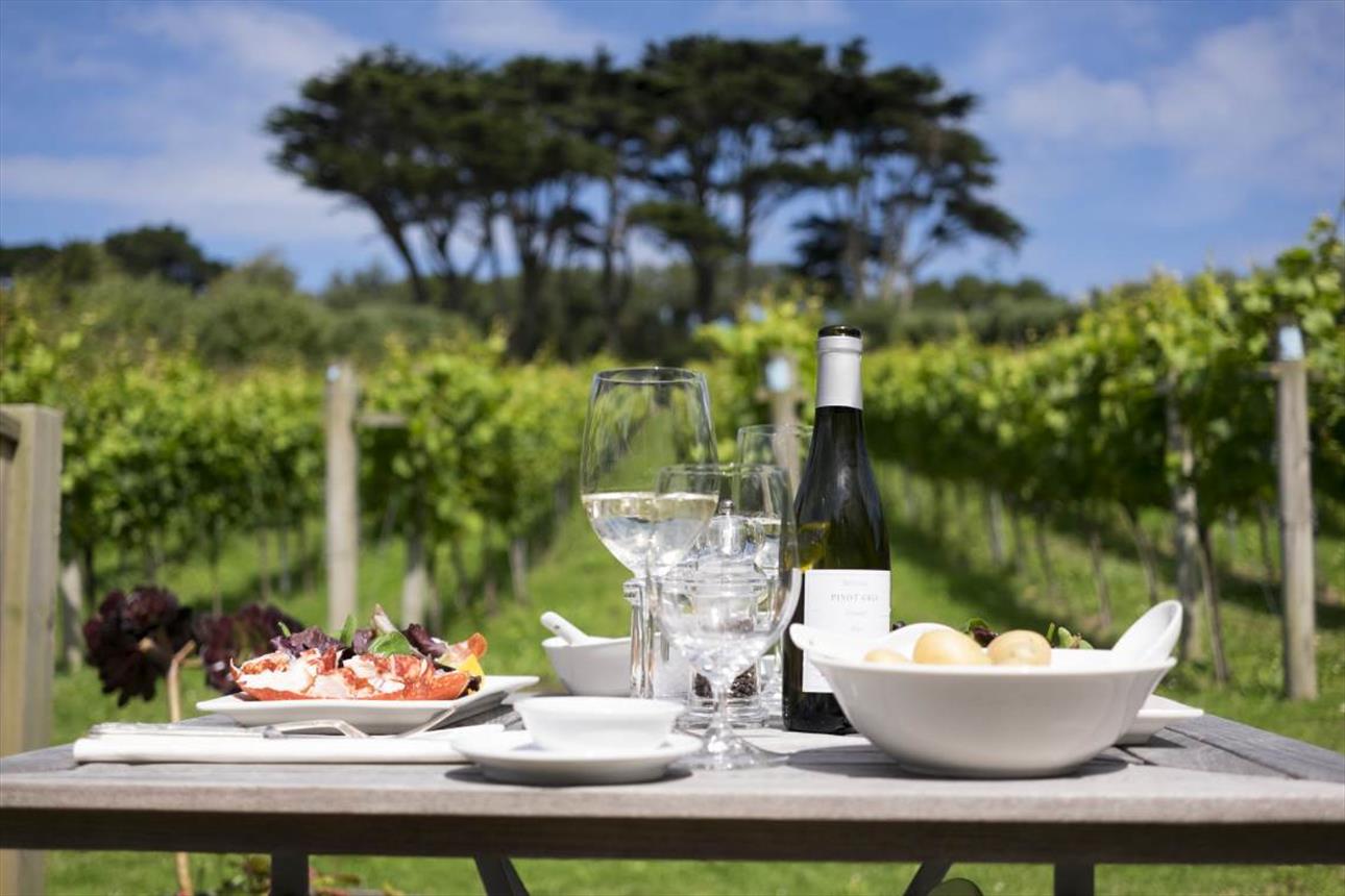 Wine and nibbles in the vineyard