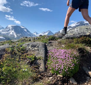 Nationalpark