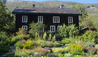 Aukrust farm, a house and flowers and herbs in front. 