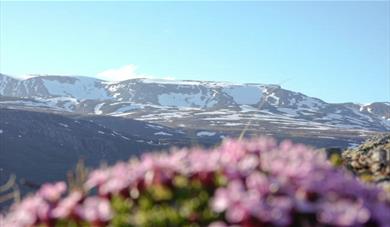 View over Hestbrepiggane. 