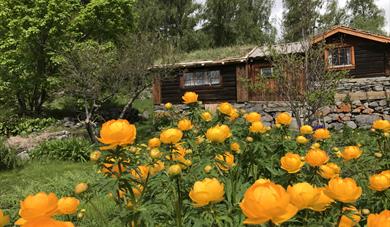 Haukdalen Kulturformidling