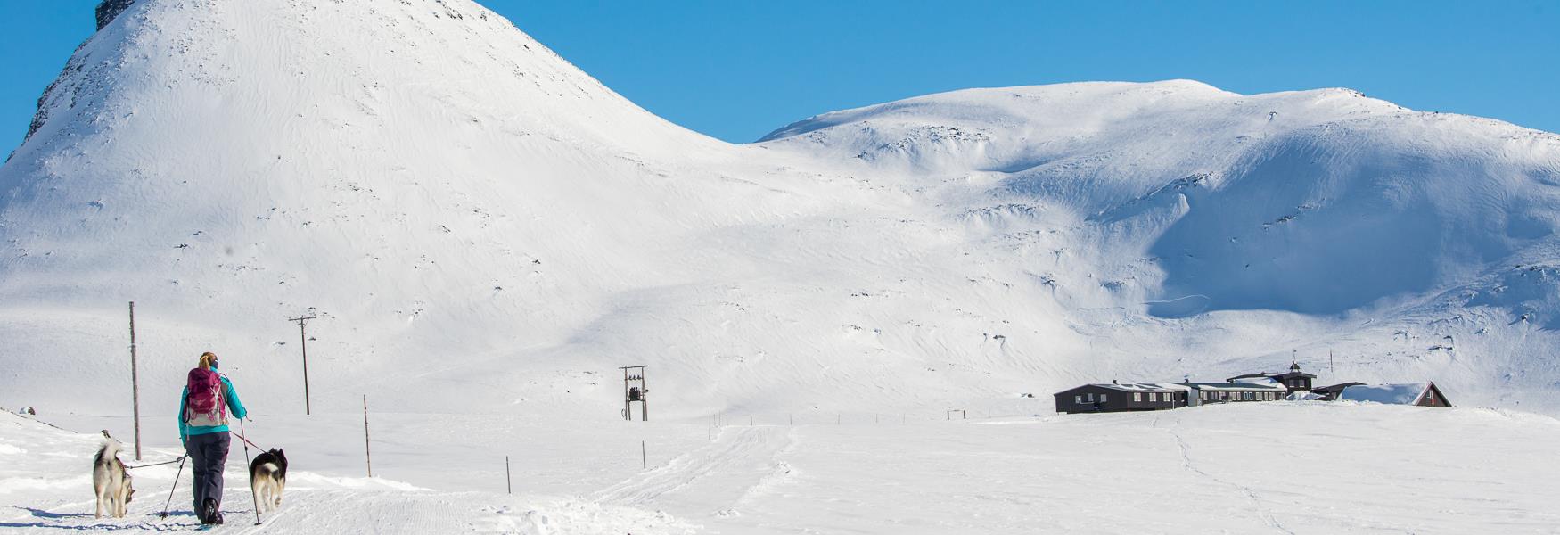 Kyrkja, Leirvassbu, fjellhytte, fjell, topptur, overnatting, Jotunheimen, turfolk, ski, fjelltopp