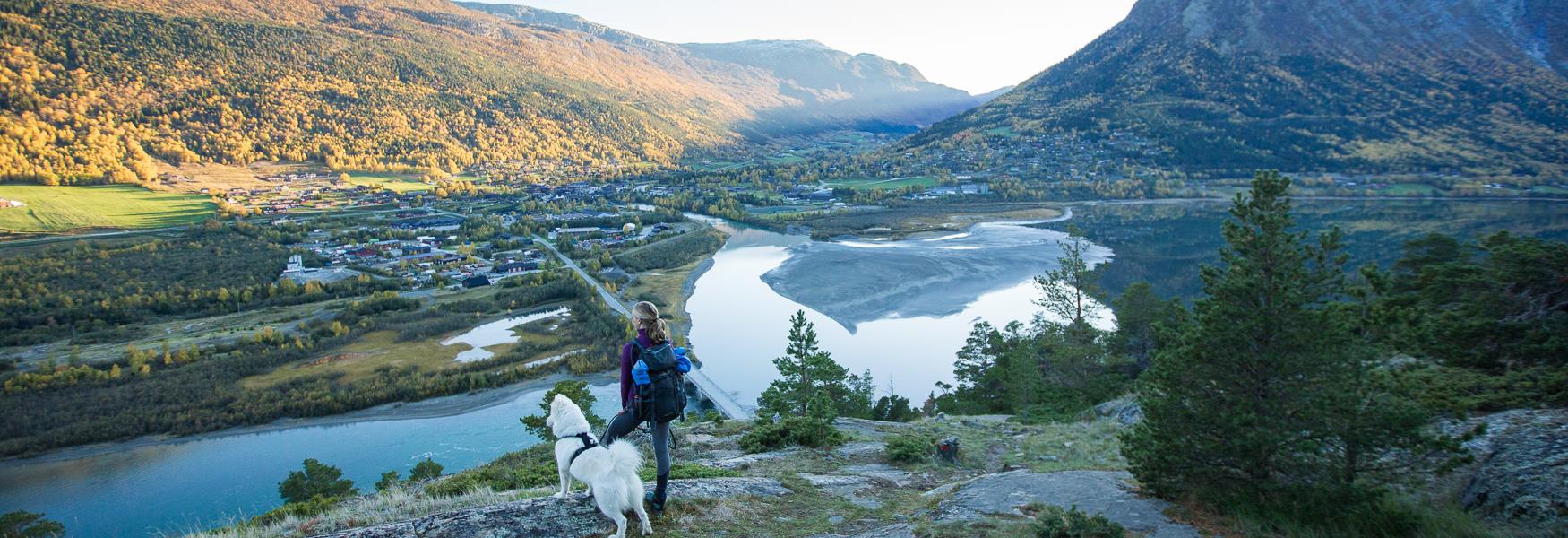 jente med hund, lom sentrum i bakgrunnen