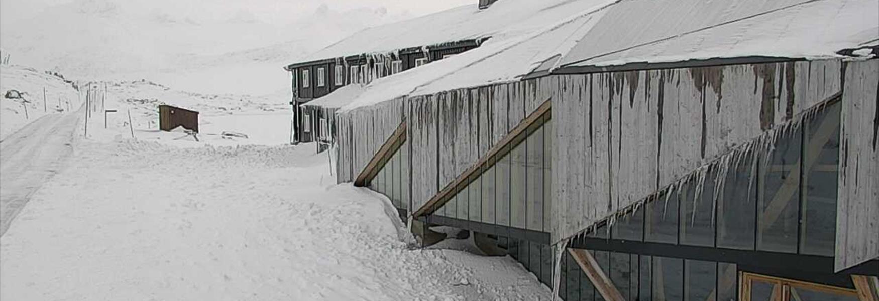 Webcam Sognefjellet